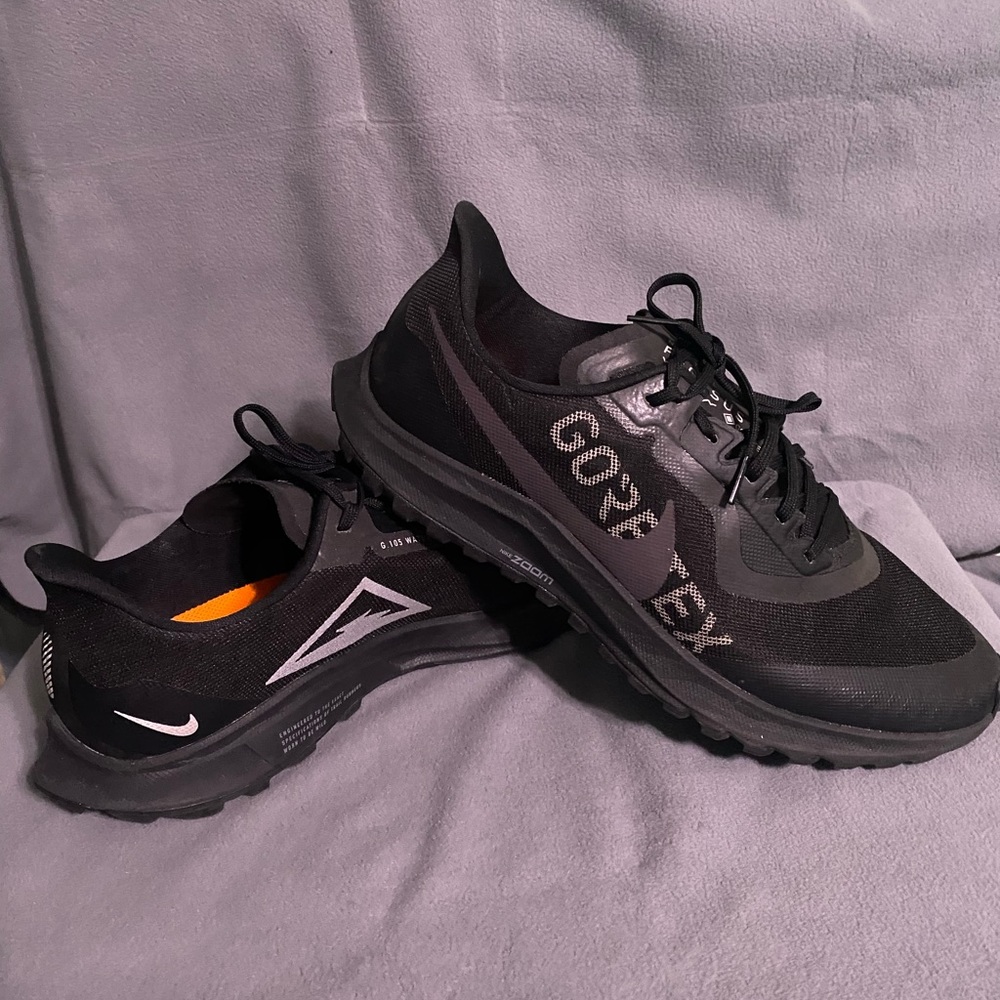 Mens Nike Zoom Pegasus 36 Gore-Tex Trail Size 11 US - NWT (New Without Tags)